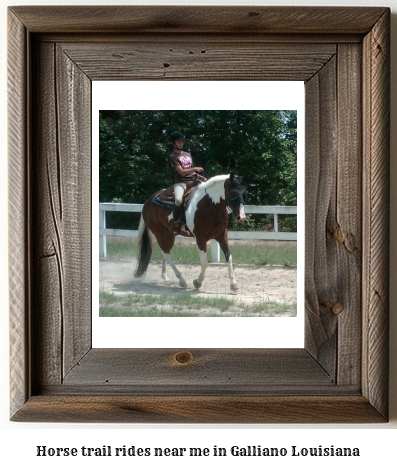 horse trail rides near me in Galliano, Louisiana